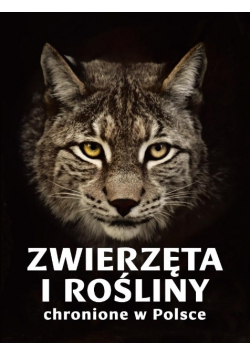 Zwierzęta i rośliny chronione w Polsce