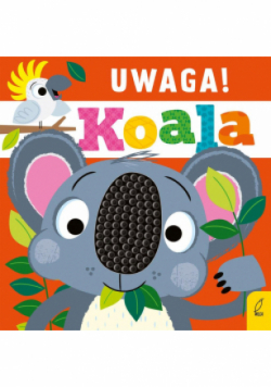 Uwaga! Koala