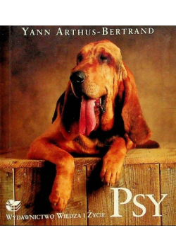Psy