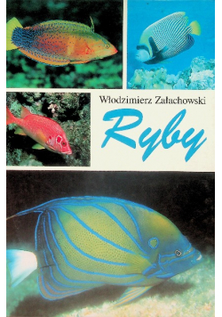 Ryby