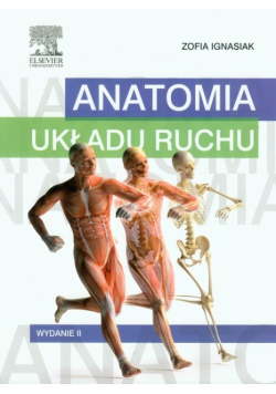 Anatomia układu ruchu