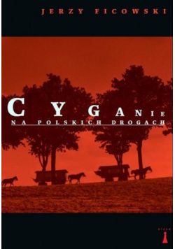 Cyganie na polskich drogach