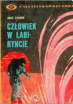 Człowiek w labiryncie