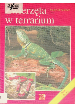 Zwierzęta w terrarium