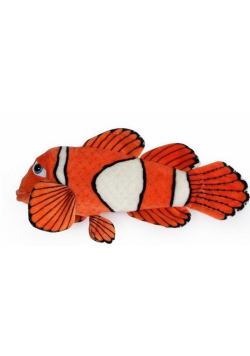 Ryba błazenek 45cm