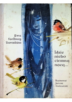 Idzie niebo ciemną nocą