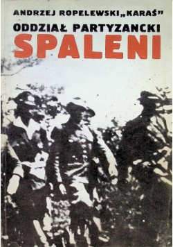 Oddział partyzancki spaleni
