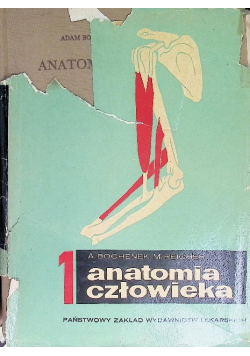 Anatomia człowieka Tom I