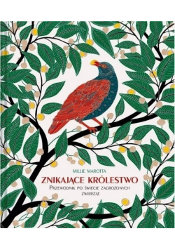 Znikające królestwo Przewodnik po świecie