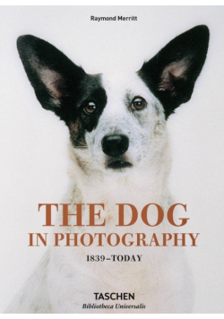 The Dog in Photography 1839 - today