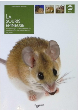 La souris epineuse
