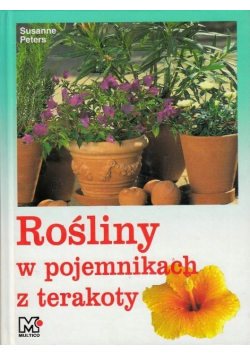 Rośliny Egzotyczne W Pojemnikach Z Terakoty Pomysły I Porady