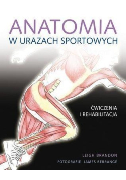 Anatomia w urazach sportowych