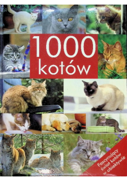 1000 kotów