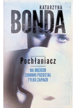 Pochłaniacz