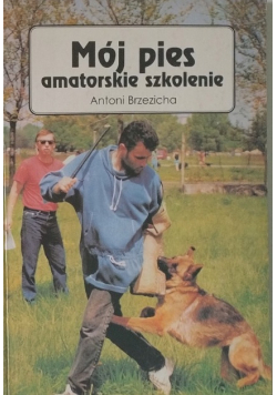 Mój pies - amatorskie szkolenie