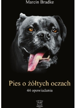 Pies o żółtych oczach
