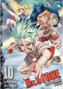 Dr. Stone Tom 10