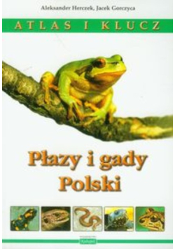 Płazy i gady Polski Atlas i klucz