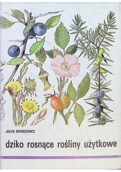 Dziko rosnące rośliny użytkowe