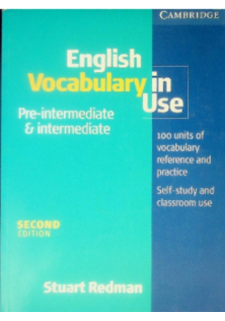English Vocabulary in Use Pre - intermediate & intermediate