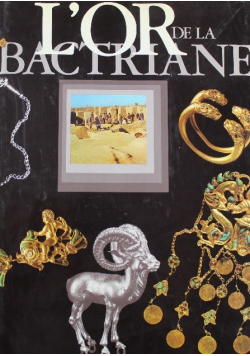 Lor de la Bactriane