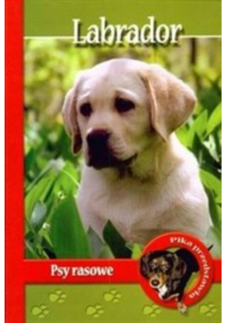 Labrador