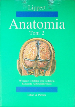 Anatomia Tom 2