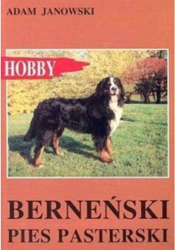 Berneński pies pasterski