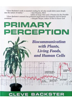 Primary Perception
