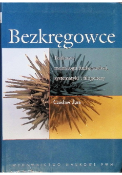 Bezkręgowce