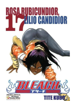 Bleach Tom 17