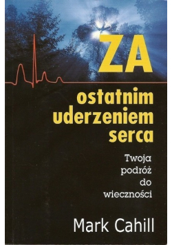 Za ostatnim uderzeniem serca