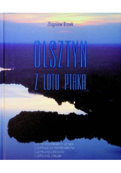 Olsztyn z lotu ptaka 2
