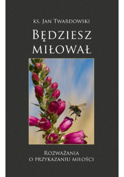 Będziesz miłował Rozważania o przykazaniu miłości