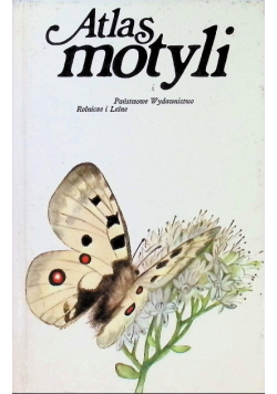 Atlas motyli