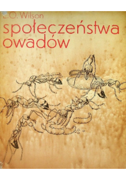 Społeczeństwa owadów