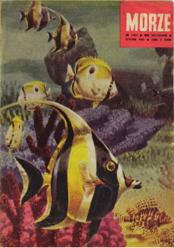 Morze Nr 1 do 12 / 1962