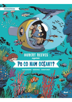 Po co nam oceany