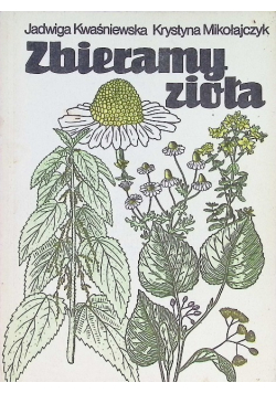 Zbieramy zioła