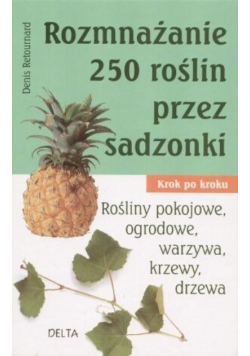 Rozmnażanie 250 roślin przez sadzonki