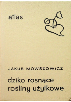 Dziko rosnące rośliny użytkowe