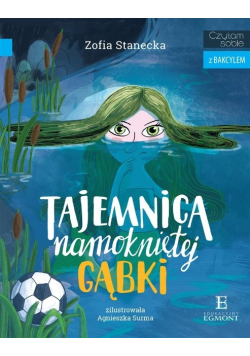 Tajemnica namokniętej gąbki