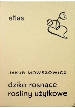 Dziko rosnące rośliny użytkowe