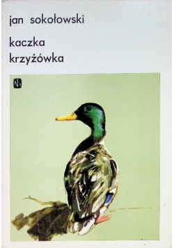 Kaczka krzyżówka