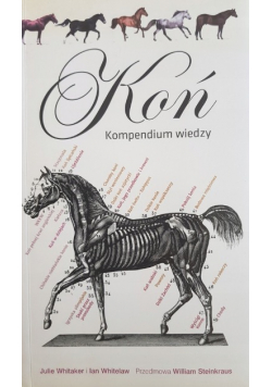 Koń Kompendium wiedzy