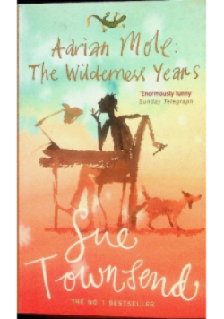 The Wilderness Years