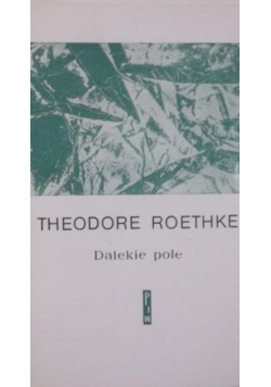 Dalekie pole