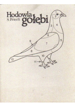 Hodowla gołębi