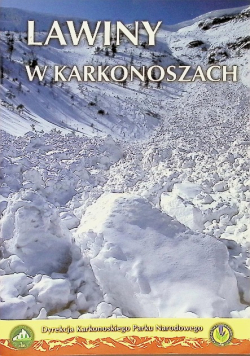 Lawiny w Karkonoszach